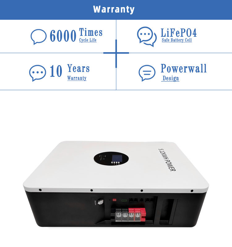 ピンシェン パワー ウォール ライフポ4 太陽光発電貯蔵電池 10Kwh 48V 100Ah 200Ah リチウムイオン電池 ソーラー パワー ウォール BMS